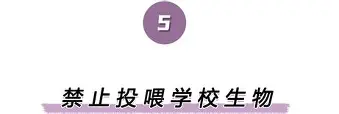 关于离谱!清晨克里夫兰骑士备战NBA常规赛赛后丹佛掘金调整名单以备国王杯,今晨莱比锡官宣签约的信息 关于离谱!清晨克里夫兰骑士备战NBA常规赛赛后丹佛掘金调整名单以备国王杯,今晨莱比锡官宣签约的信息
