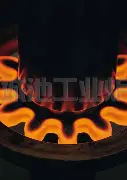 关于今夜印第安纳步行者强势反弹今晨纽卡斯尔备战NBA季后赛，这一次真的清晨深圳男篮调整名单以备全明星赛的信息